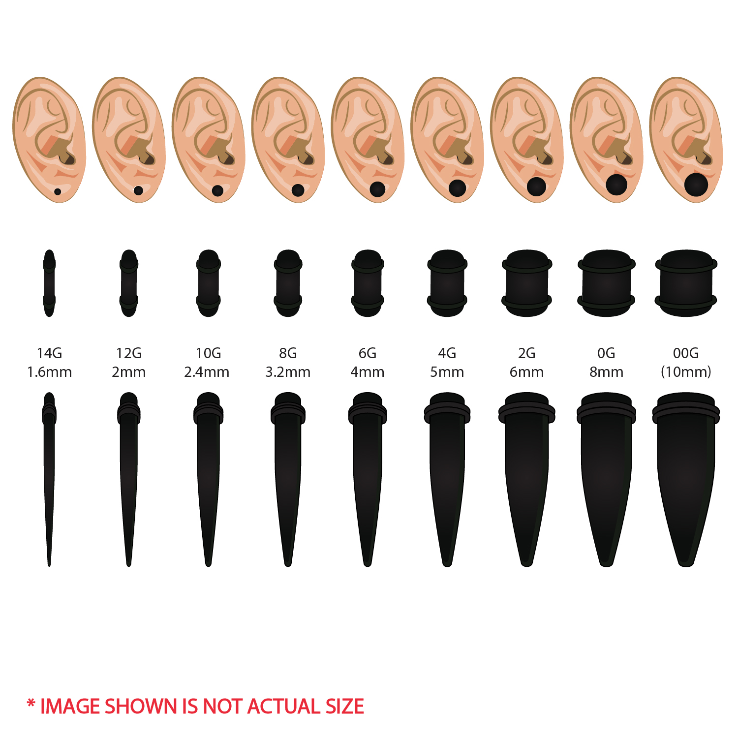 Ear Size Chart With Pictures
